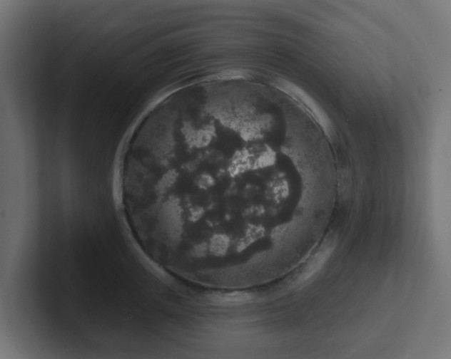 X0000102810851200808251108