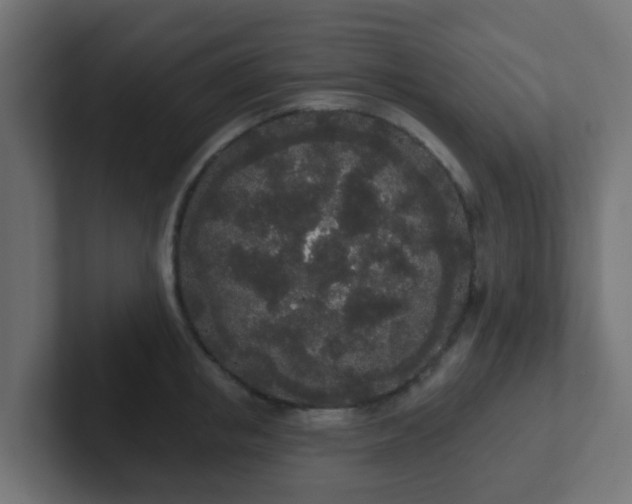 X0000102810853200808251108