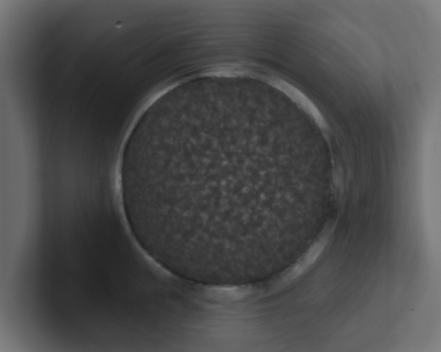 X0000102810855200808251108