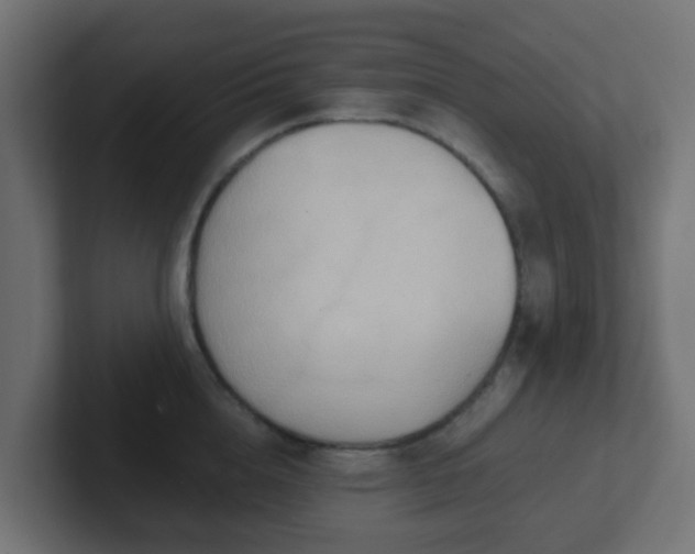 X0000102810856200808251108