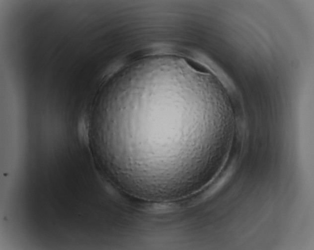 X0000102810857200808251108