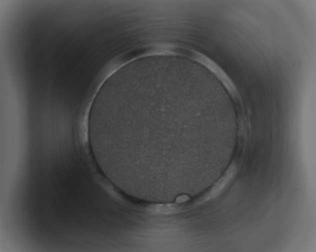 X0000102810858200808251108