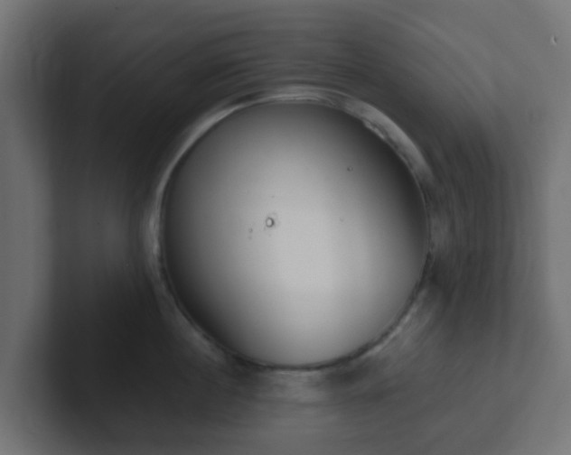 X0000102810860200808251108