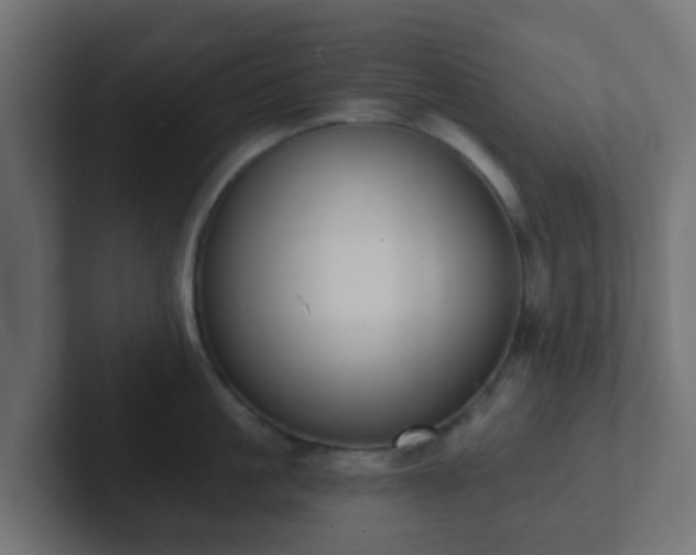 X0000102810861200808251108