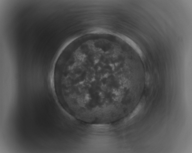 X0000102810863200808251108