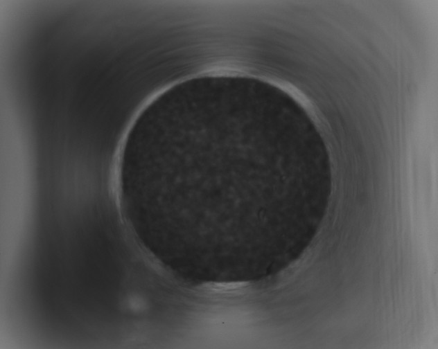 X0000102810864200808251108