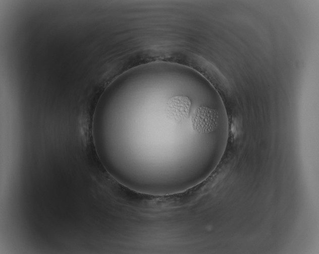 X0000102810867200808251107