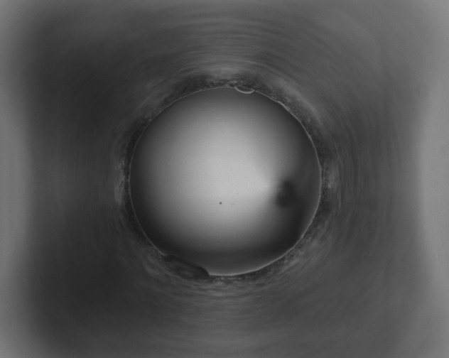 X0000102810868200808251107