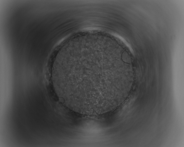 X0000102810871200808251107