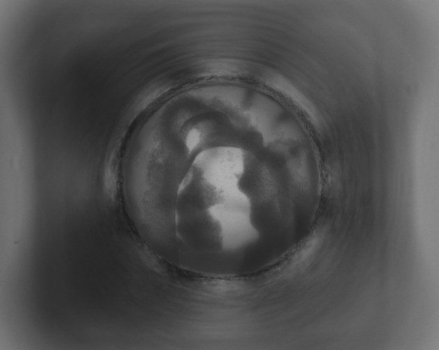 X0000102810874200808251107