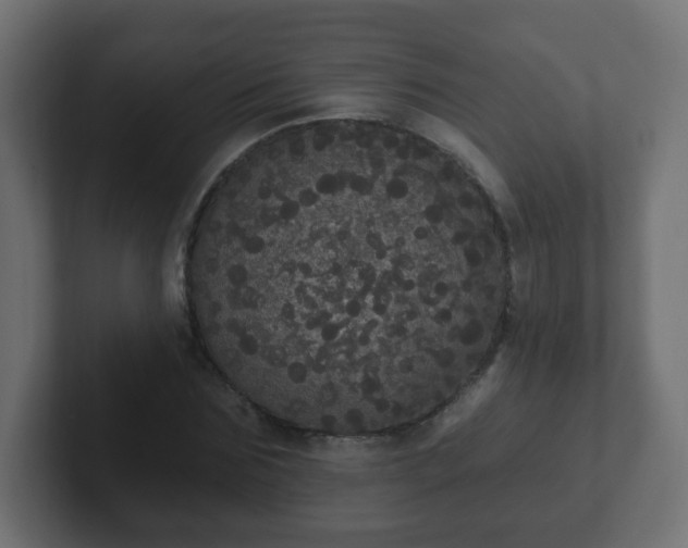 X0000102810875200808251107