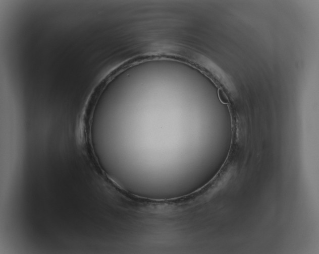 X0000102810876200808251107