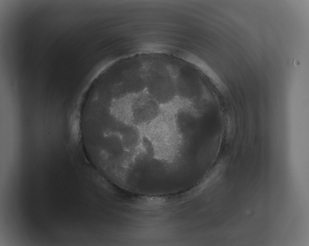 X0000102810878200808251107