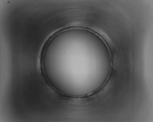 X0000102810880200808251107