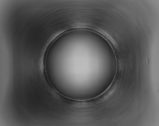 X0000102810885200808251107