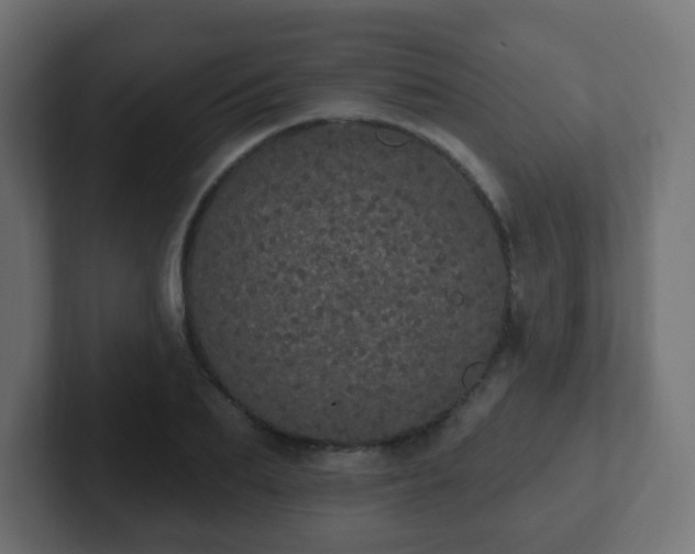 X0000102810887200808251107