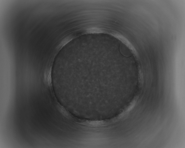 X0000102810889200808251107