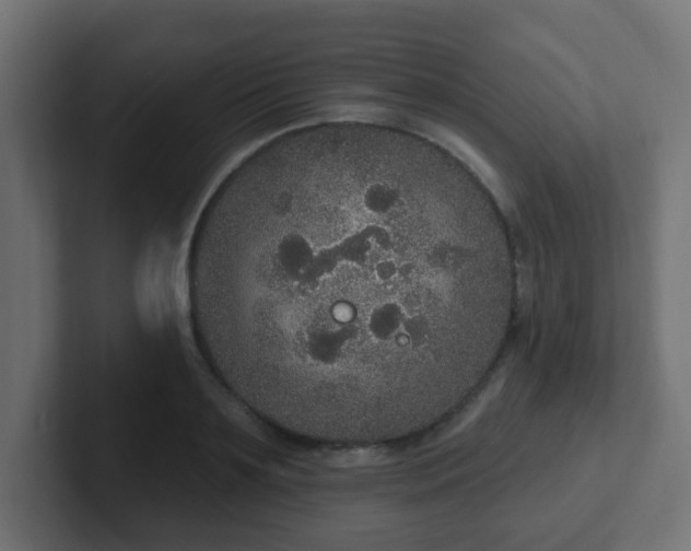 X0000102810891200808251107