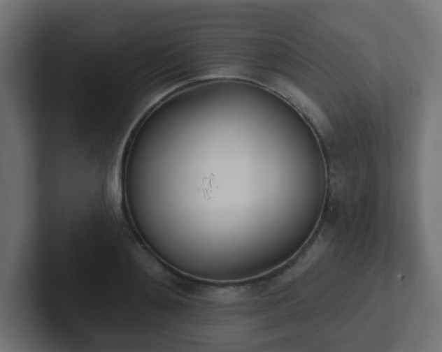 X0000102810892200808251107