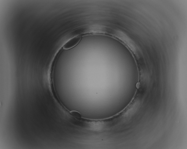 X0000102810893200808251107