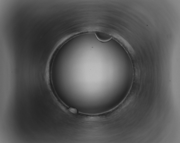 X0000102810894200808251107