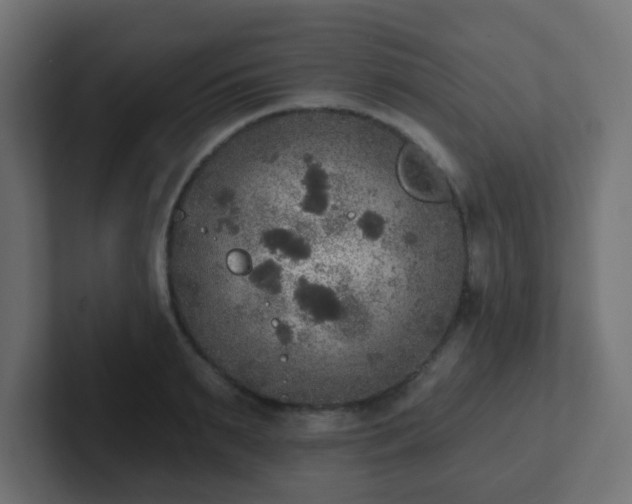 X0000102810895200808251107