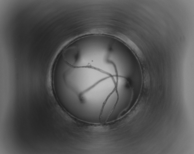 X0000102810896200808251107