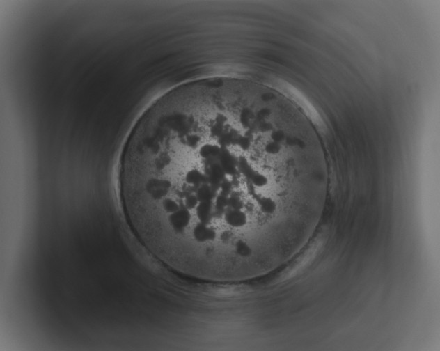 X0000102810899200808251107