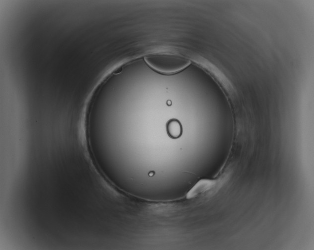 X0000102810902200808251107