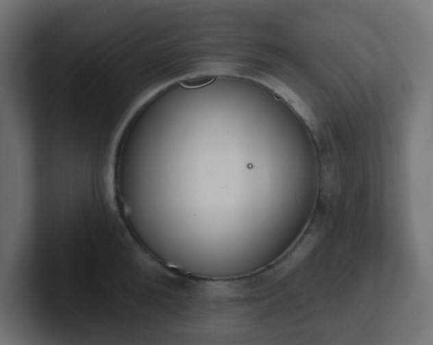 X0000102810904200808251107