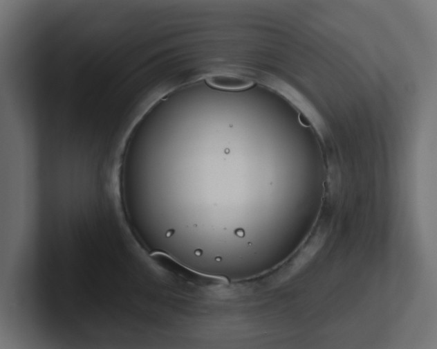 X0000102810906200808251107