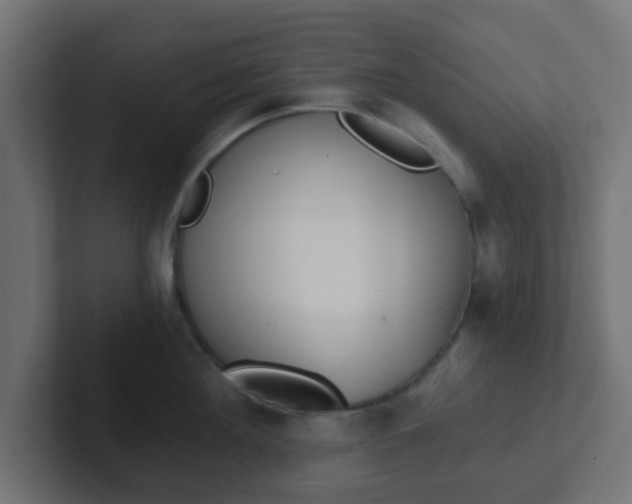 X0000102810908200808251107