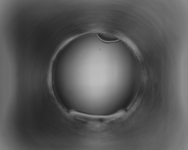 X0000102810910200808251107