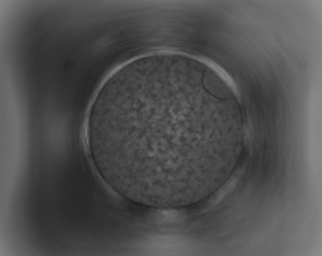 X0000102810911200808251107