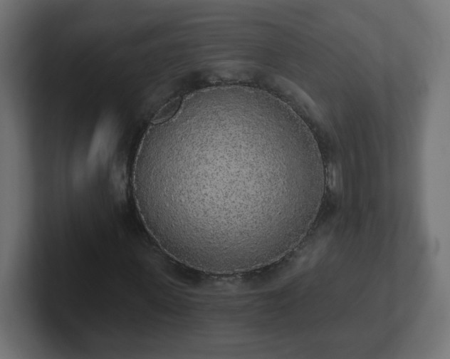 X0000102810915200808251106