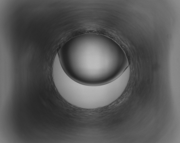 X0000102810916200808251106