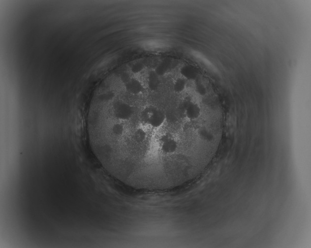 X0000102810917200808251106