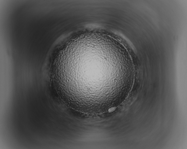 X0000102810919200808251106