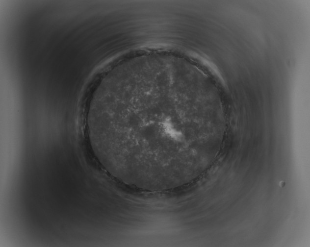 X0000102810920200808251106