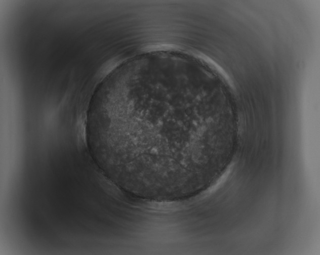 X0000102810921200808251106