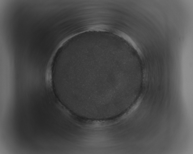 X0000102810923200808251106