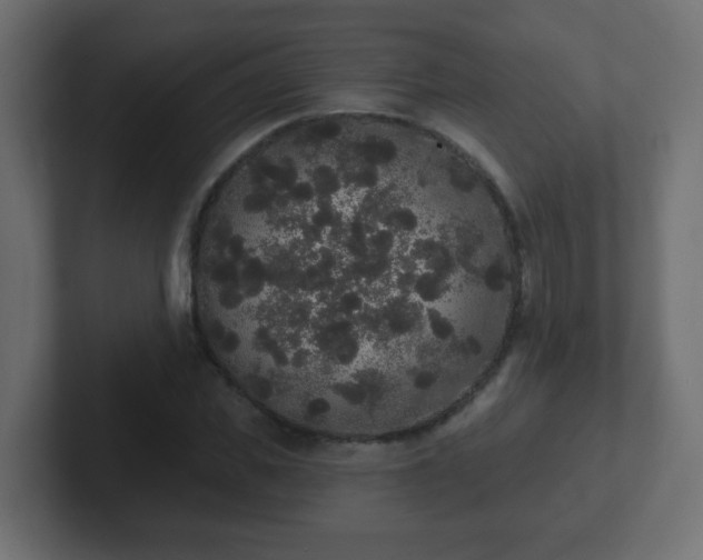 X0000102810925200808251106