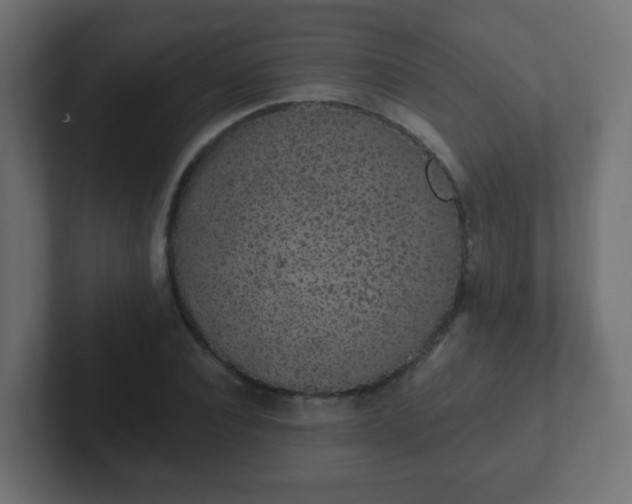 X0000102810928200808251106