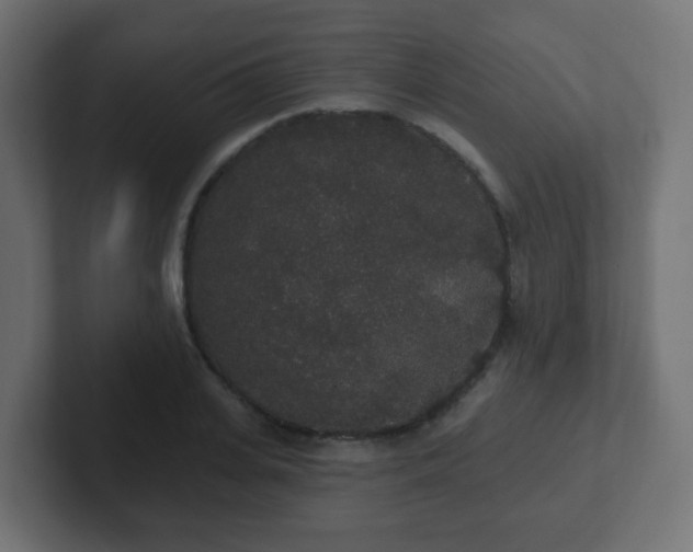 X0000102810935200808251106