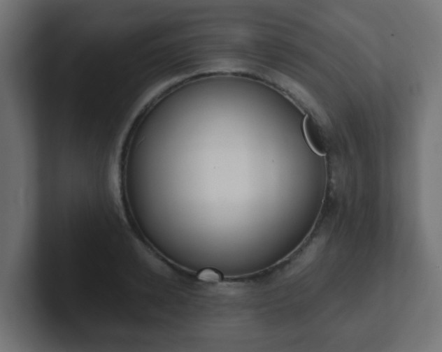 X0000102810942200808251106