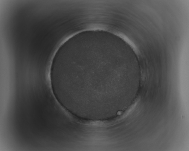 X0000102810943200808251106