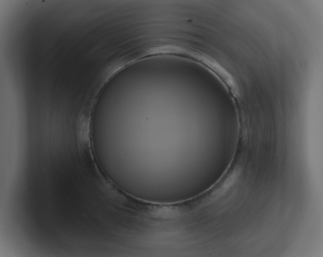 X0000102810945200808251106