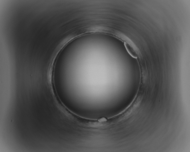 X0000102810946200808251106