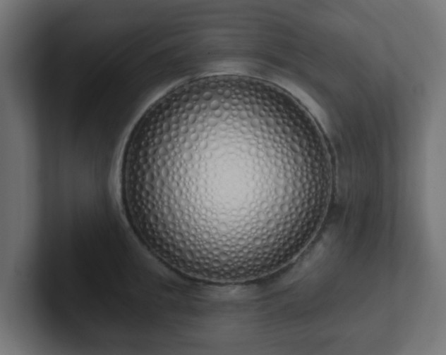 X0000102810949200808251106