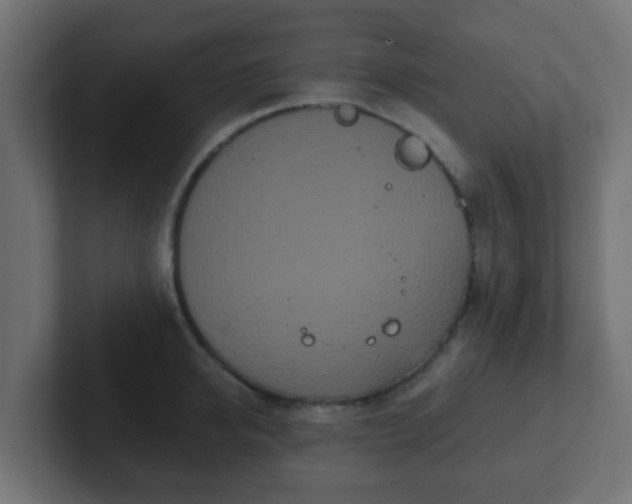 X0000102810950200808251106